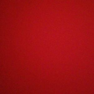 Meet your Posher, Kallie